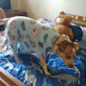 Meet your Posher, Carter